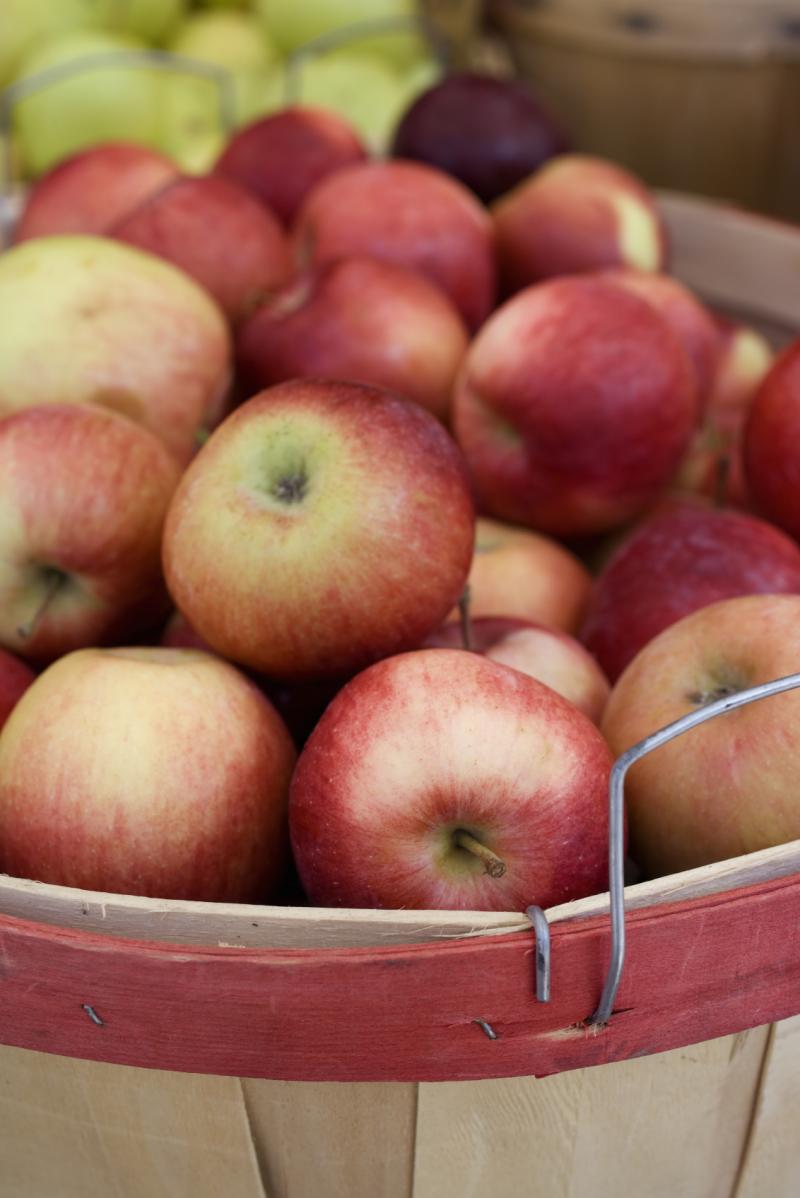 Fall Apples